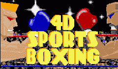 4D Sports Boxing