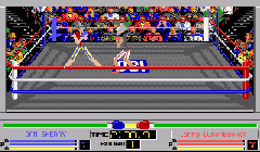 4D Sports Boxing