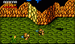 Battletoads