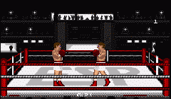 Boxing Masters