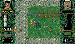 Dogs Of War