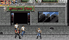 Double Dragon 3: The Rosetta Stone