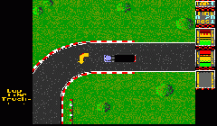 International Truck Racing