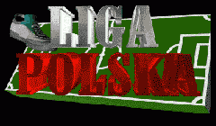 Liga polska