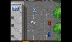 Miami Chase
