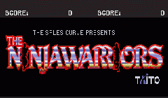 Ninja Warriors, The