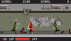 Ninja Warriors, The