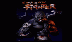 Shadow Fighter