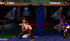 Shadow Fighter