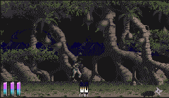 Shadow of The Beast III
