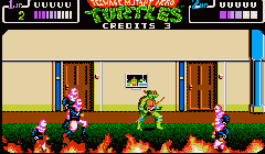 Teenage Mutant Hero Turtles