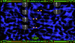 XP8