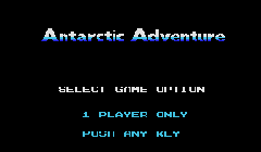 Antarctic Adventure