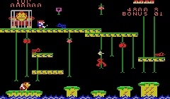 Donkey Kong Junior
