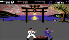 International Karate +